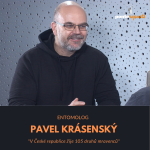 Obrázek epizody Pavel Krásenský – entomolog: V České republice žije 105 druhů mravenců