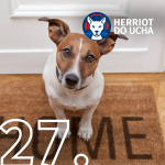 Obrázek epizody #27 Jak se dorozumět se svým psem: od vrtění ocasu po vrčení - MVDr. Tomáš Nushart