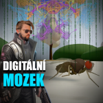 Obrázek epizody Ne, první „zdigitalizovaná“ muška není mind-uploading – Vědátornews