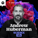 Obrázek epizody Andrew Huberman on Supplements, the Covid Lab Leak Theory and more