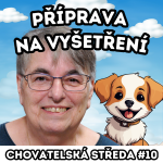 Obrázek epizody 🧪 Příprava na VYŠETŘENÍ 🧪| Chovatelská středa #10