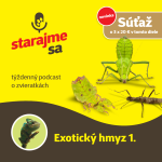 Obrázek epizody Teraristika: Exotický hmyz 1.