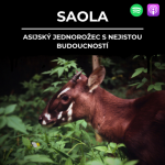 Obrázek epizody 88: SAOLA | Asijský jednorožec s nejistou budoucností