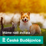 Obrázek epizody Veterinární poradna s Lucií Míkovou