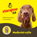 Obrázek epizody Psy: Maďarská vyžla