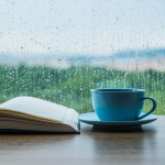 Obrázek epizody 193: Rainy Bookstore Cafe Ambience | Cozy Shop & Rain Sounds to Work, Study, Relax