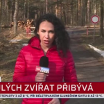 Obrázek epizody Policisté vyšetřují případ šestnácti uhynulých zvířat