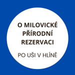 Obrázek epizody Zubři, divocí koně a pratuři, to je život v Milovické rezervaci