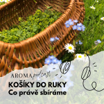 Obrázek epizody #021 Košíky do ruky: co právě sbíráme