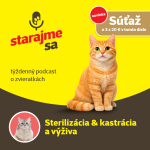 Obrázek epizody Mačky: Sterilizácia & kastrácia a výživa