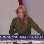 Obrázek epizody Lipavský ke sjezdu: Vláda nemá ráda německé důchodce, lidem hážou kosti. Vondráček nesouhlasil
