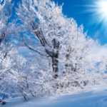 Obrázek epizody HOROSKOPY: Kozorozi, k potřebám partnera buďte vnímavější. Máte, co dohánět