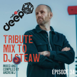 Obrázek epizody RadioB - DeepBox: Tribute Mix to DJ Steaw (AndrewJ) / 15.3.2025