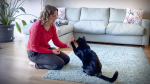 Obrázek epizody How to make your cat happier — in 3 minutes | Nicky Trevorrow