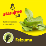 Obrázek epizody Teraristika: Felzuma