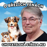 Obrázek epizody 🐩 O březích fenách 🐩 | Chovatelská středa #18