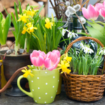 Obrázek epizody HOROSKOPY: Štíři, všechna lidská srdce jsou vám otevřena. Jste vnímaví