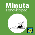 Obrázek epizody Internet