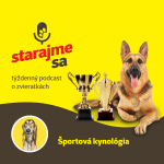 Obrázek epizody Psy: Športová kynológia