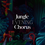 Obrázek epizody Jungle Evening Chorus: Nature Sounds for Sleep