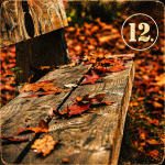 Obrázek epizody ZAPOMENUTÉ, ZTRACENÉ... A NALEZENÉ VĚCI