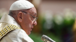 Obrázek epizody Papež o slavnosti Nanebevstoupení: Hlásejme naději ve světě poznamenaném zoufalstvím