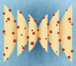 Obrázek epizody Shrink