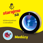 Obrázek epizody Akvaristika: Medúzy