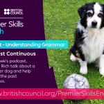 Obrázek epizody Understanding Grammar - The Past Continuous