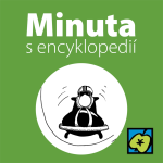 Obrázek epizody Boby