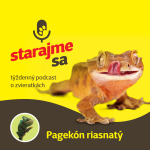 Obrázek epizody Teraristika: Pagekón riasnatý