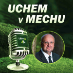 Obrázek epizody „Letošní rok byl jako na houpačce,“ říká generální ředitel Lesů ČR Josef Vojáček