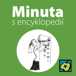 Obrázek epizody Tapety