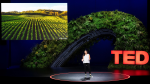 Obrázek epizody The hidden wonders of soil | Jane Zelikova