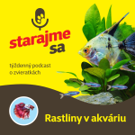 Obrázek epizody Akvaristika: Rastliny v akváriu