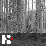 Obrázek epizody Algoritmus života (19. března 2026)