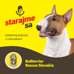 Obrázek epizody Psy: Bullterrier Rescue Slovakia