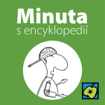 Obrázek epizody Robot