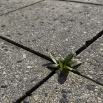 Obrázek epizody O potenciálu, okamžitém zlepšení a dlouhodobém zlepšování