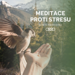 Obrázek epizody Meditace Proti stresu | Bodyscan