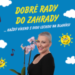 Obrázek epizody DOBRÉ RADY DO ZAHRADY NA RÁDIU BLANÍK-Zazimování - dílna - aku