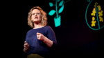 Obrázek epizody The next software revolution: programming biological cells | Sara-Jane Dunn