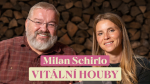 Obrázek epizody #90: Milan Schirlo o vitálních houbách