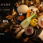 Obrázek epizody Než se vrátím: připomeňte si 10. díl Ornella LIFE