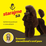 Obrázek epizody Psy: Groomer - starostlivosť o srsť psov