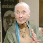 Obrázek epizody Bioložka JANE GOODALL: "Dovedu si představit, že lidstvo vymře."