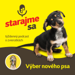 Obrázek epizody Psy: Výber nového psa