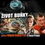 Obrázek epizody Život buňky | #PříběhŽivota 01 | série od @FasaPrasa