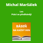 Obrázek epizody Michal Maršálek - Les + Ptáci se předhánějí