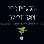 Obrázek epizody Epizoda 1: Sed - Křivé obvinění (1/2)